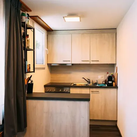 Cozy With Mountain View Apartment Brienz (Bern)
