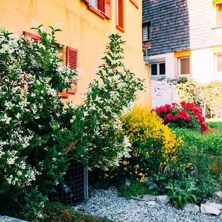 Cozy With Mountain View * Brienz (Bern)